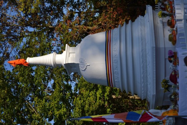 960.07 dsc_0219